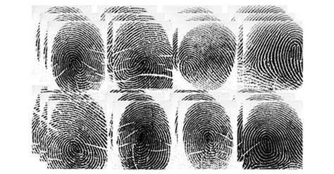 Fingerprint Detection Secusearch® Pro 3 Fingerprint Detection