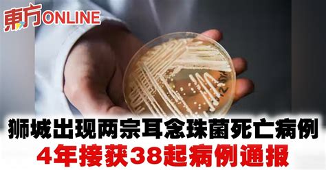 狮城出现两宗耳念珠菌死亡病例 4年接获38起病例通报 国际 東方網 馬來西亞東方日報