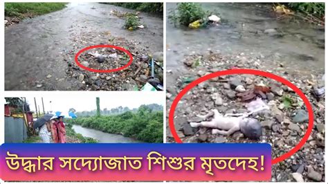 শিশু উদ্যানের পিছন থেকে উদ্ধার সদ্যোজাত শিশুর মৃতদেহ Youtube