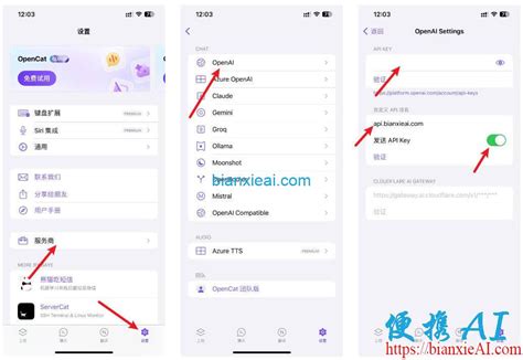 Opencat使用便携ai聚合openai Api教程 便携ai