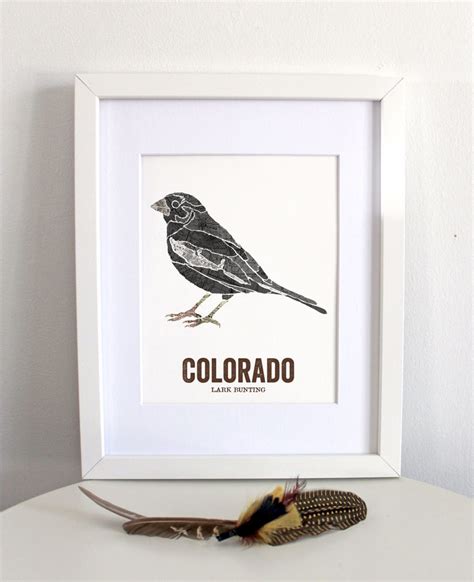 Colorado State Bird Art Map Art State Art Bird Print Etsy