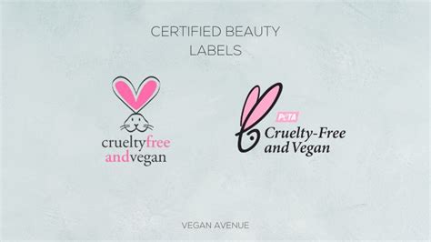 Guide To Vegan Beauty Certifications Labels And Logos 2024