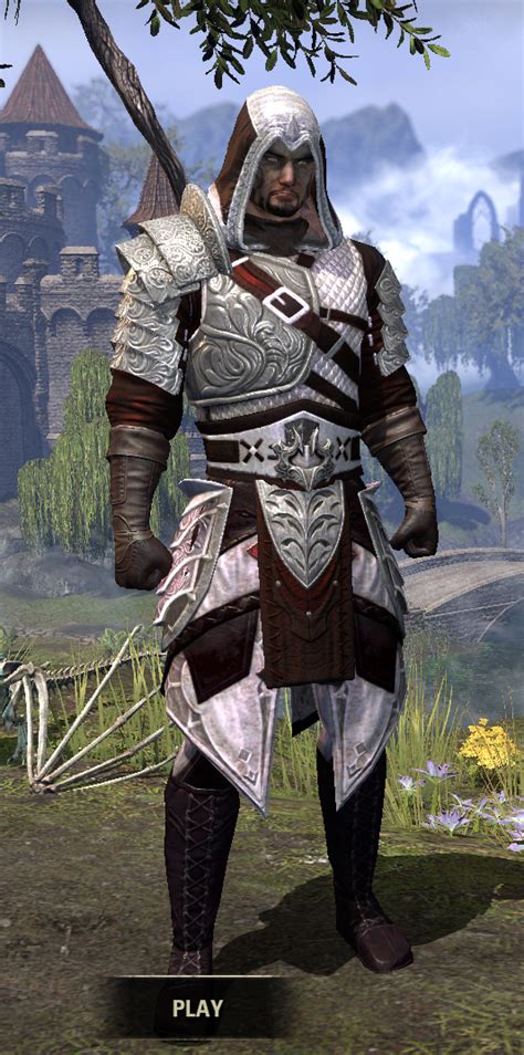 Elder Scrolls Online Assassin