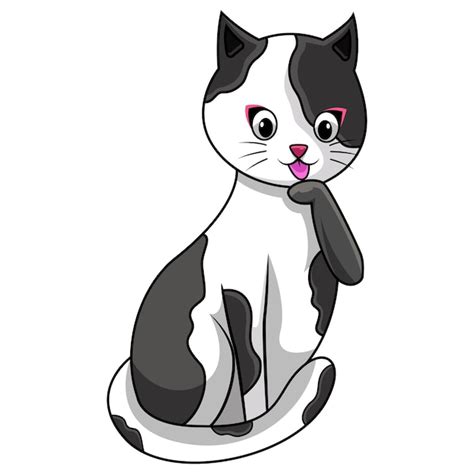 Um Gato Preto E Branco Um Nariz Rosa Senta Se Em Um Fundo Branco