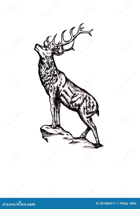 Black and White Illustration of a Stag. Stock Illustration - Illustration of animal, mountain ...