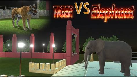 Tiger Vs Elephant Youtube