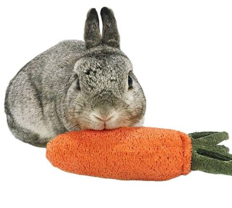 Rabbit Toys & Accessories| Rabbit-Toys-and-Cage-Accessories| FourPaWSake