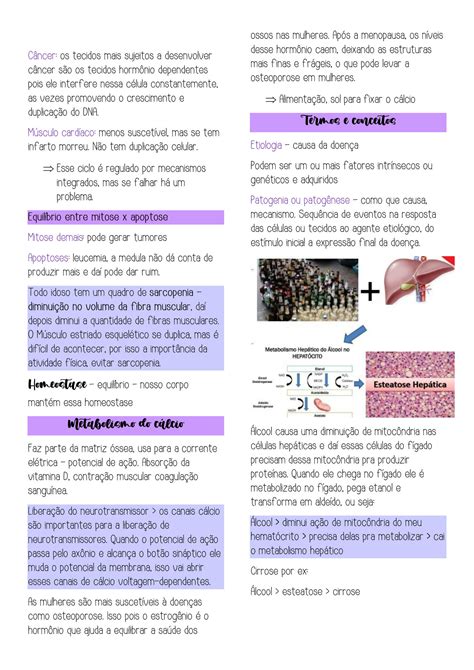 Solution Patologia Adapta Es Celulares Enfermagem Studypool