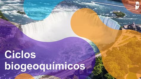 Ciclos Biogeoqu Micos O Que S O Import Ncia E Mais