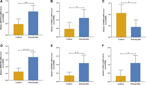 Frontiers Diagnostic Signature Subtype Classification And Immune