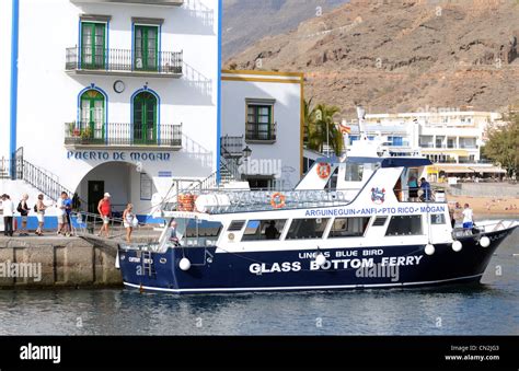 Puerto De Mogán Glass Bottomed Boat Puerto De Mogan Gran Canaria