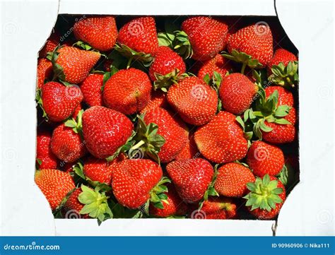 Fresas En Una Caja De Cartón Fresas Foto de archivo Imagen de dieta