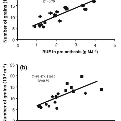 Relationships between yield and either number of grains per m 2 (a), or ...