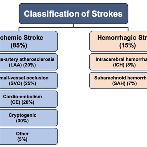 Classification Of Stroke Subtypes Stroke Is Classified Into Two Major Download Scientific