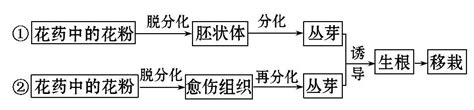 【世纪金榜】2016届高中生物第一轮复习练习 选13 4植物组织培养和酶的应用练习word文档在线阅读与下载无忧文档