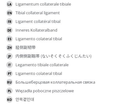 Tibial collateral ligament - e-Anatomy - IMAIOS