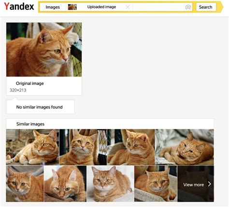 Yandex image turns reality upside down—hidden tech inside a simple photo slips past every detector