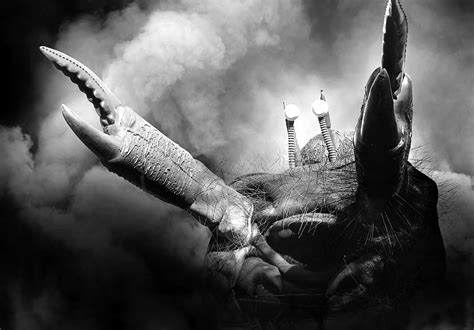 tardis musings whats wrong   macra terror