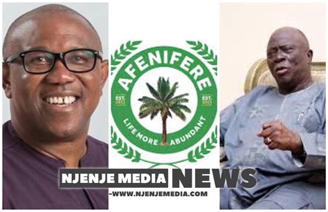 Breaking Afenifere Endorses Peter Obi As Their Choice In The 2023