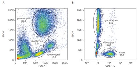 Flow Cytometry Guide Gates And Regions Flow Cytometry Scientific