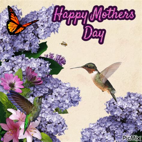 Hummingbird Happy Mother S Day Pictures Photos And Images For