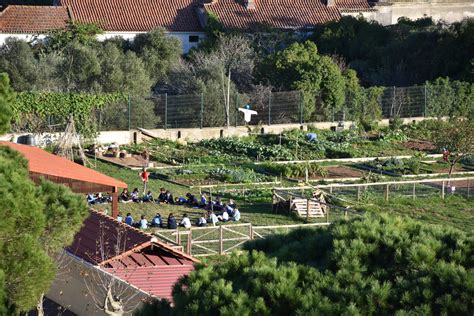 Adn Escolas Col Gio Marista De Carcavelos Mais Educativa