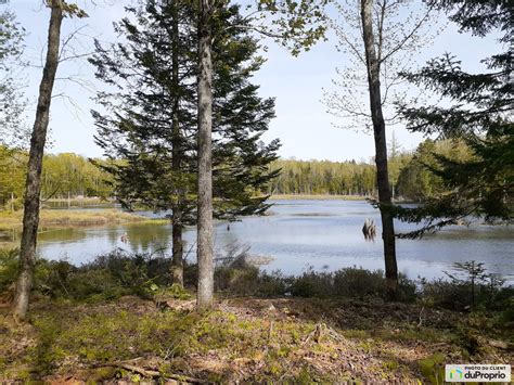 Terre Bois Vendre Lac Aux Sables