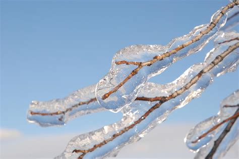 Freezing Rain Warning In Effect Friday For Northern Kawarthas Region