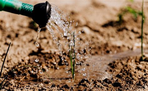 Recomendaciones Para Ahorrar Agua En La Agricultura