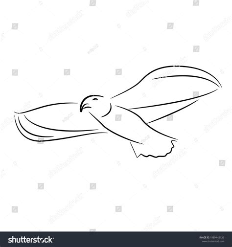 Bird Line Art Black White Vector Stock Vector (Royalty Free) 1989442139 | Shutterstock