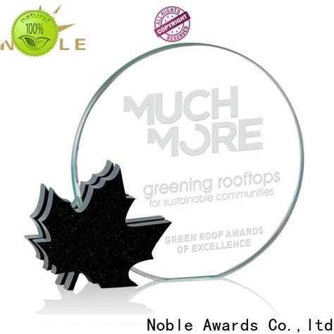 Breathable etched glass awards premium glass supplier For Awards | Noble Awards