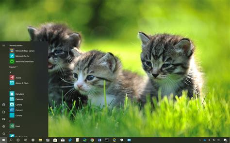 Baby Animals theme for Windows 10 (download) - Pureinfotech