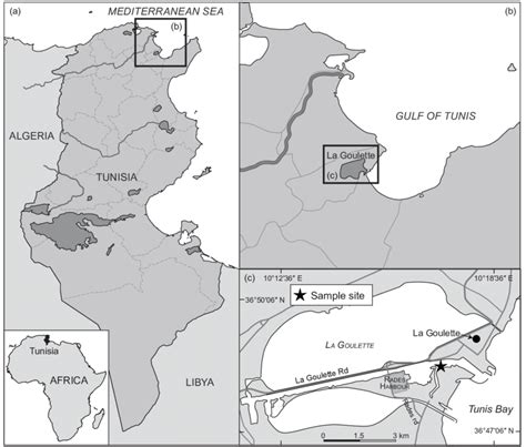 Map showing location of the sample site at Rades Harbour, northern ...