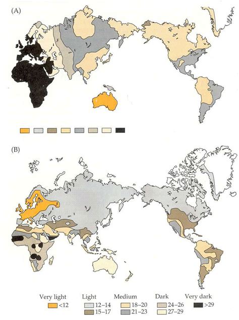 A. Division of the world's human population into eight classes of ...