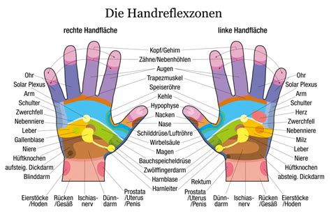 Handreflexzonenmassage Ratgeber Infografik