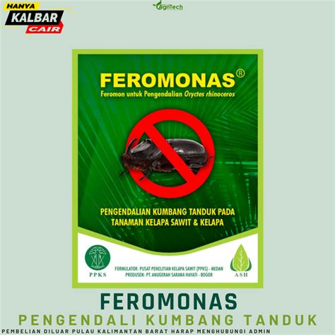 Jual Feromonas Feromon Pengemdali Hama Kumbang Tanduk Tanaman Kelapa