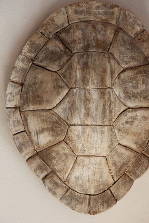 25 Turtle shell art ideas | turtle shell, turtle, shell art