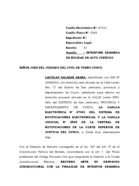 Demanda De Nulidad De Acto Juridico Ladislao 1 Pdf Donación