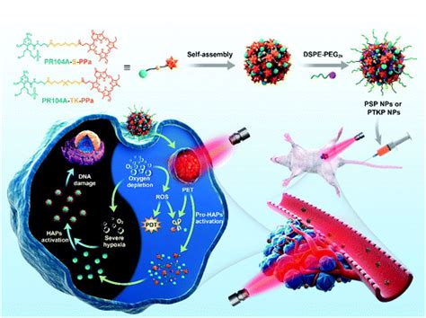 Light Triggered Dual Modality Drug Release Of Self Assembled Prodrug