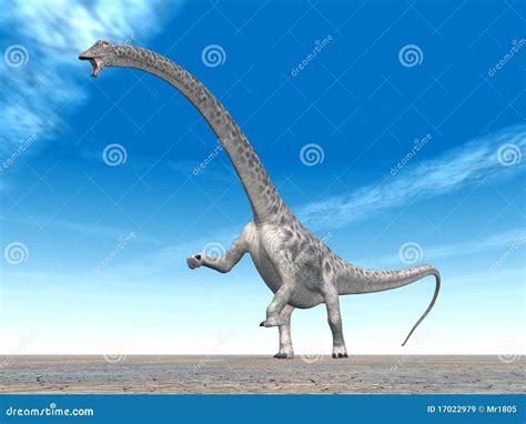 Dinosaur Diplodocus Royalty Free Stock Images - Image: 17022979