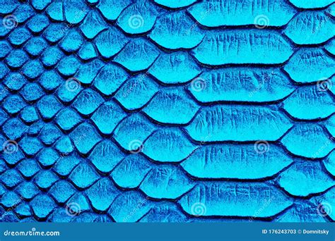 Blue snake skin background stock image. Image of design - 176243703