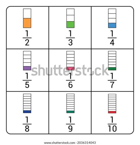 Equivalent Fractions Chart Mathematics Stock Vector Royalty Free