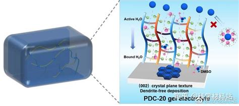 Cej：氢键受体内衬水凝胶电解质用于无枝晶水性低温锌离子电池 知乎