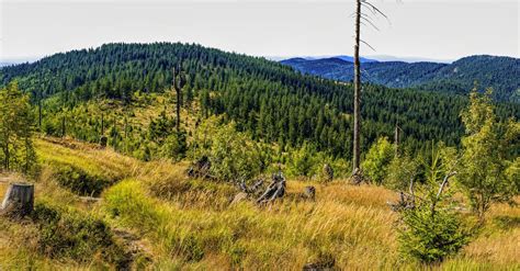 Free stock photo of Bavaria, bavarian forest, destination