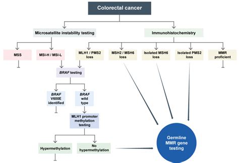 Mismatch Repair Deficiency And Microsatellite Instability — Knowledge Hub