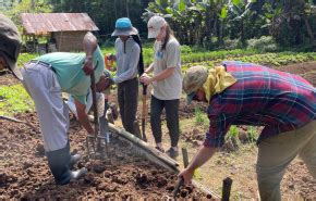 benefits  collaboratory collaboratory steans center depaul