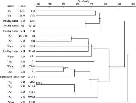 Pfge Of Xbai Digested Dna From A Cc E Coli Isolates An Upgma