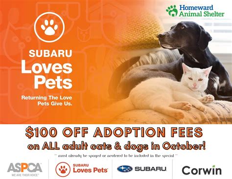 homeward animal shelter fargo 2