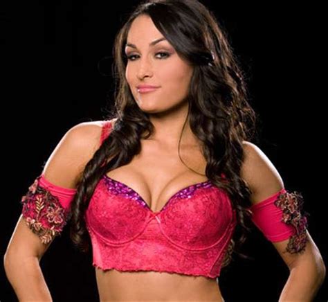 Wwe Brie Bella Wallpaper On Wallpapersafari 45150 Hot Sex Picture