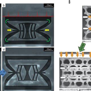 Delayed Buckling By Dissipation In Mechanical Metamaterials A A